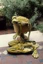 Frog Hat and Shoes